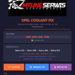 Opel Coolant Fix ECU Patcher